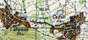 BG Topo VJ